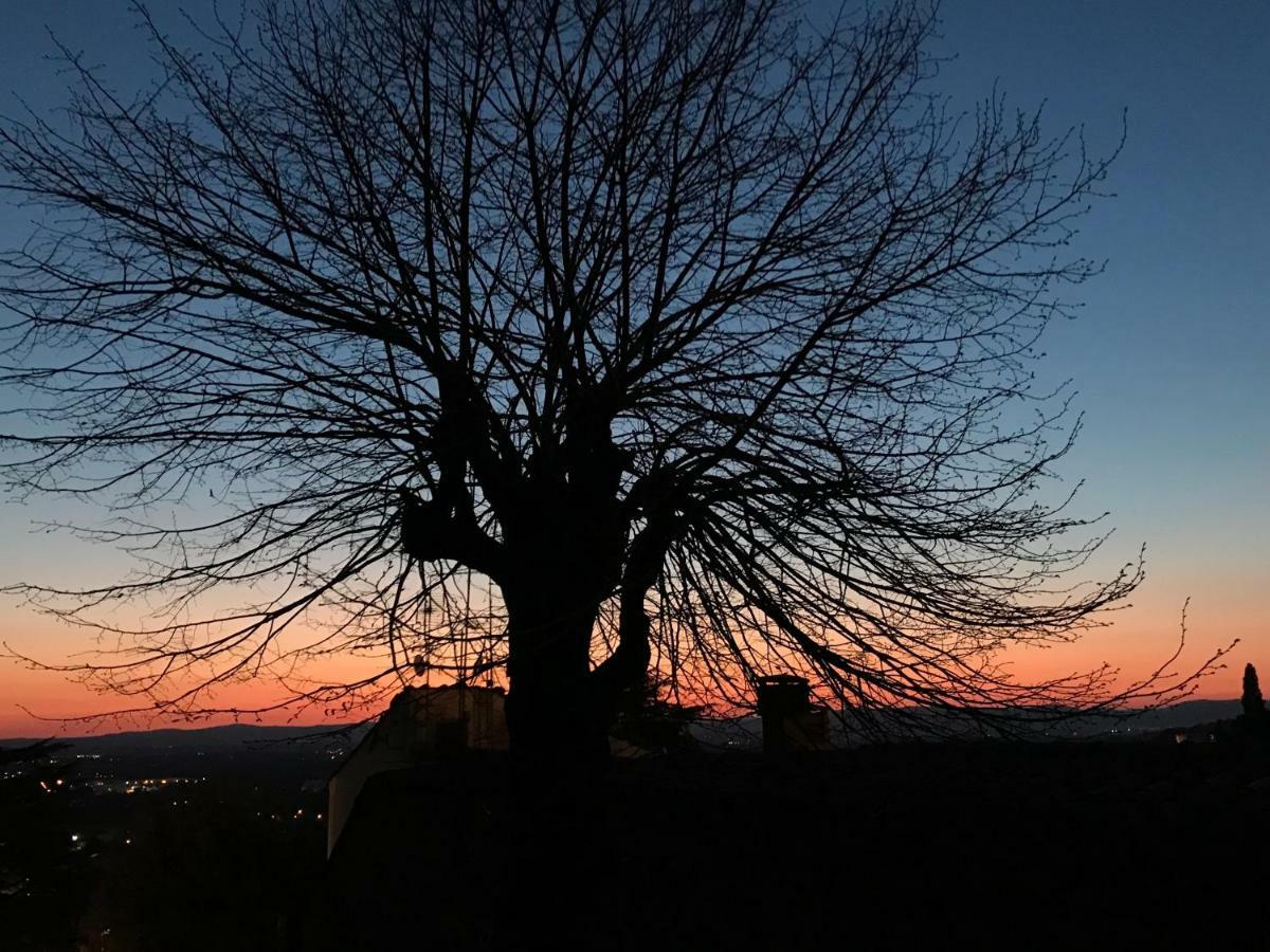 Camera E Appartamento Toscana - B&B Palazzo Robicci Castiglion Fiorentino Exteriör bild